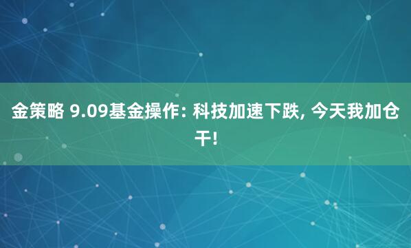 金策略 9.09基金操作: 科技加速下跌, 今天我加仓干!
