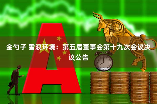 金勺子 雪浪环境：第五届董事会第十九次会议决议公告