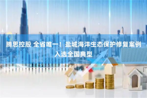 腾思控股 全省唯一！盐城海洋生态保护修复案例入选全国典型