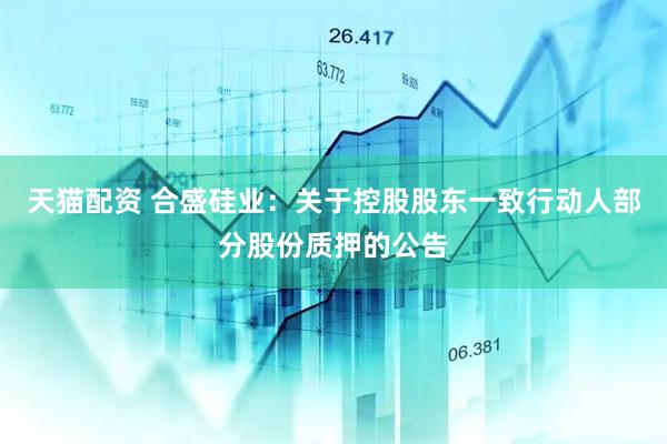 天猫配资 合盛硅业：关于控股股东一致行动人部分股份质押的公告