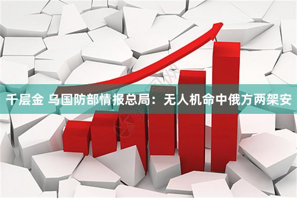 千层金 乌国防部情报总局：无人机命中俄方两架安