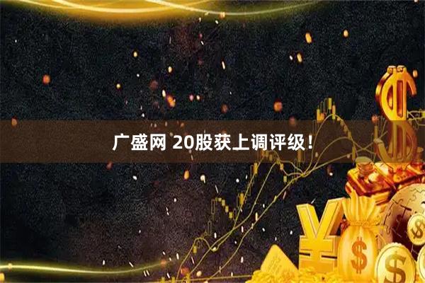 广盛网 20股获上调评级！