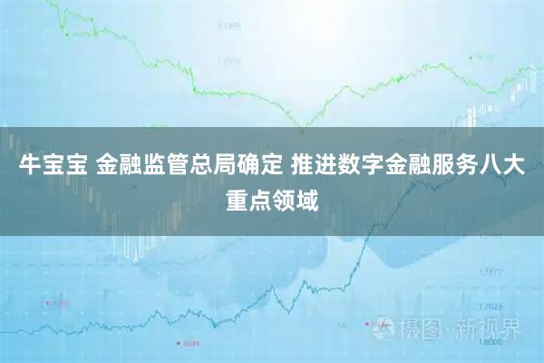 牛宝宝 金融监管总局确定 推进数字金融服务八大重点领域