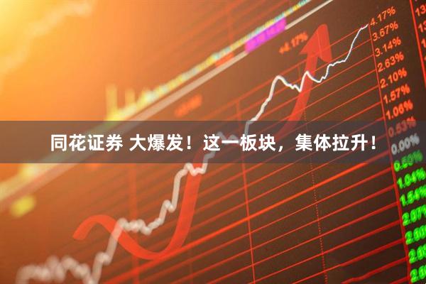 同花证券 大爆发！这一板块，集体拉升！
